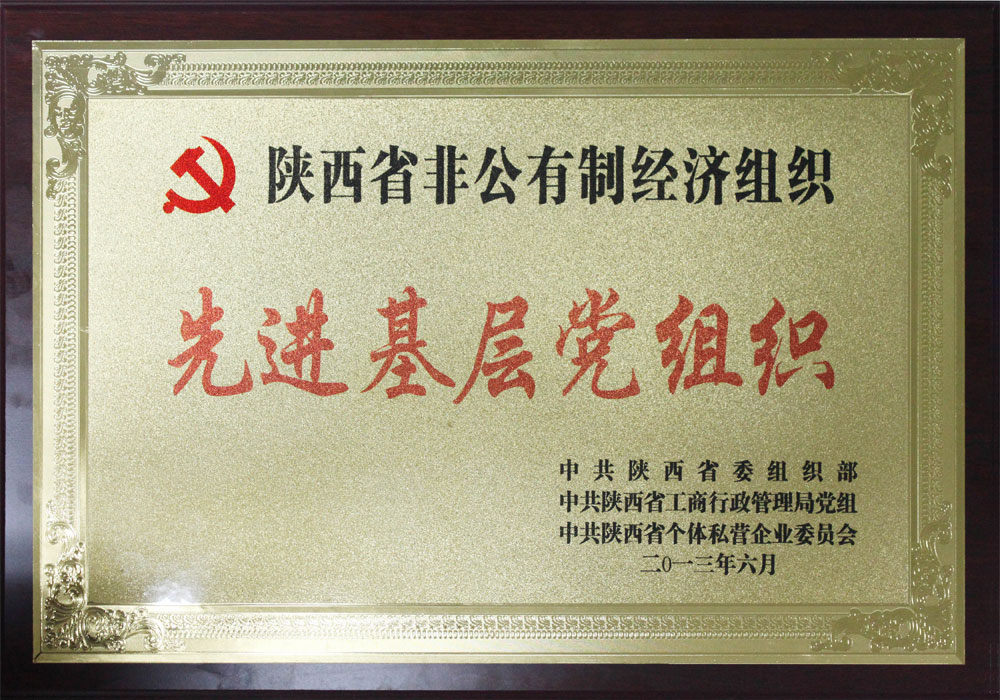 2013年陜西省先進(jìn)基層黨組織